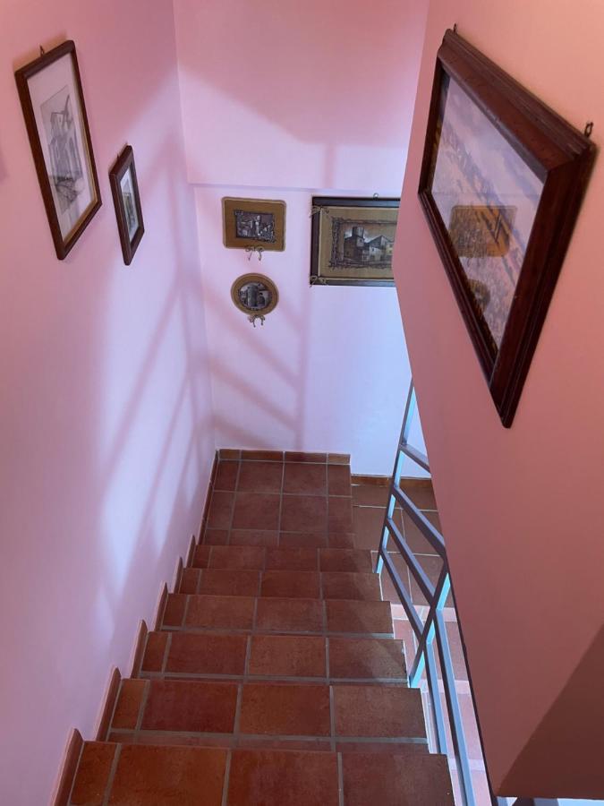 Centro Estivo Il Piccolo Paradiso